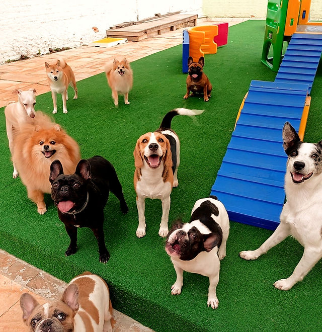 Estrutura e Segurança: O Básico Para um Estadia Tranquila - inspiração 1