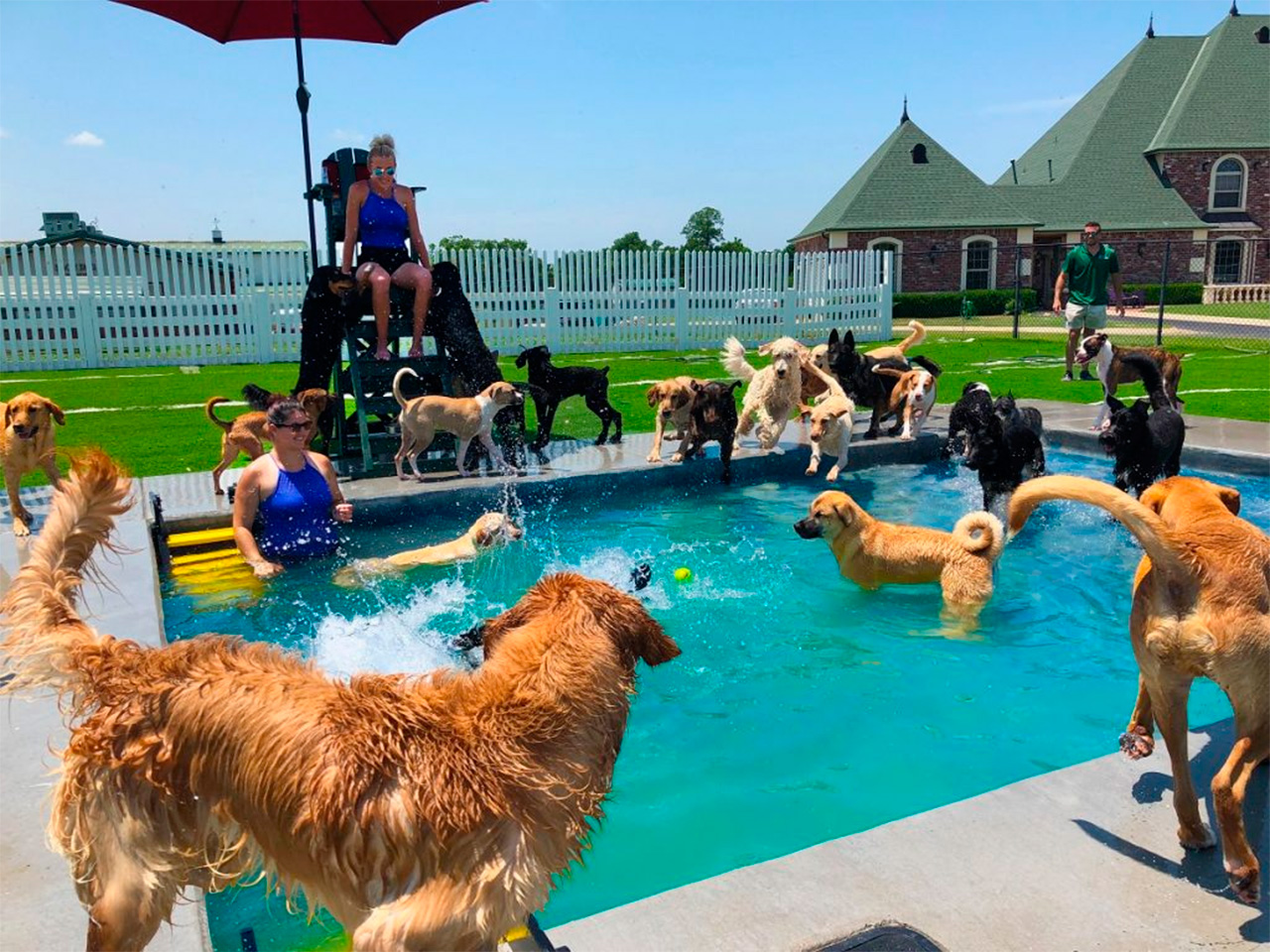 Espaço e Conforto: Quartos e Áreas Comuns Bem Projetados - inspiração 2