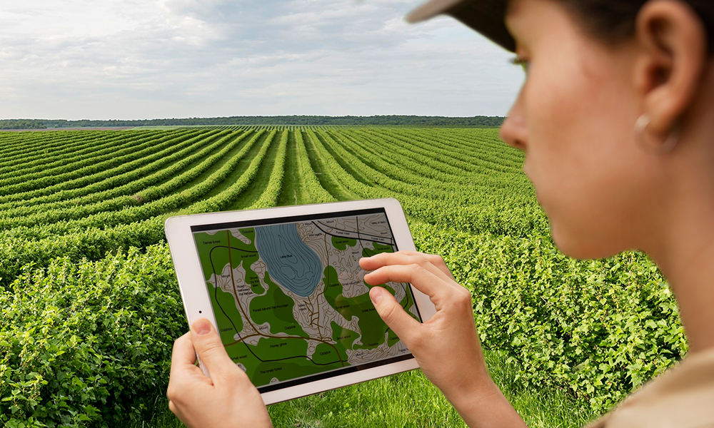 Entenda o Que São Imagens de Satélite e Como Elas Chegam Até Você - inspiração 1