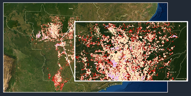 Acessibilidade e Custo-Benefício: Uma Tecnologia ao Seu Alcance - inspiração 1