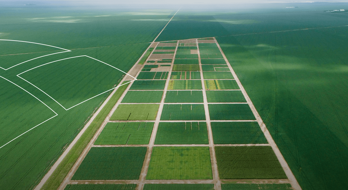 Otimizando o Uso de Água e Fertilizantes com Precisão - inspiração 2