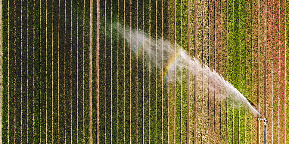 Previsão de Colheita e Análise de Produtividade: Planejamento que Dá Resultado - inspiração 1