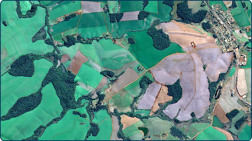 Detecção de Pragas e Doenças: A Primeira Linha de Defesa - inspiração 2