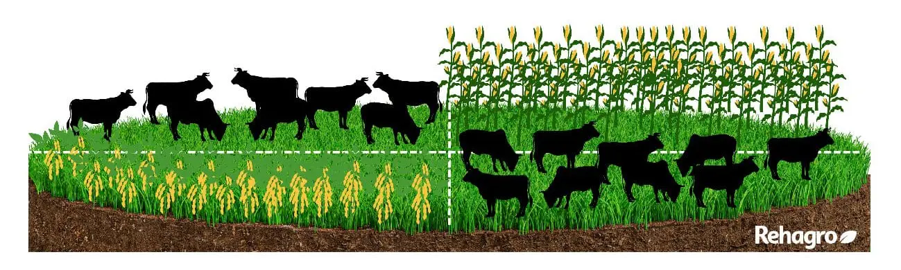 Planejamento é Tudo: Como Começar com o Pé Direito - inspiração 1