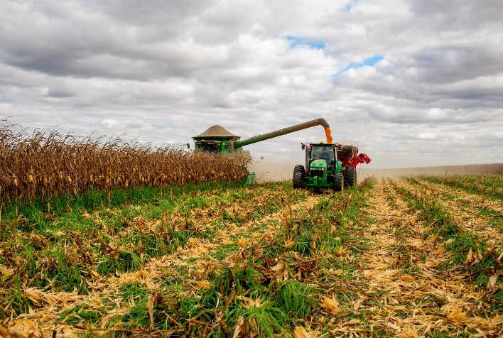 O Papel Crucial da Adubação Verde e Rotacionada - inspiração 2