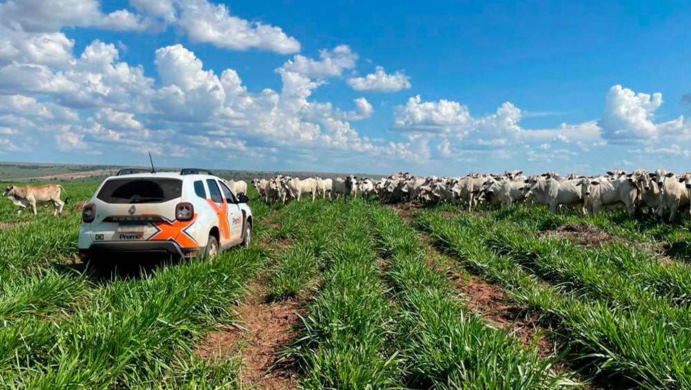 Tecnologia a Seu Favor: Ferramentas que Facilitam a Gestão - inspiração 2