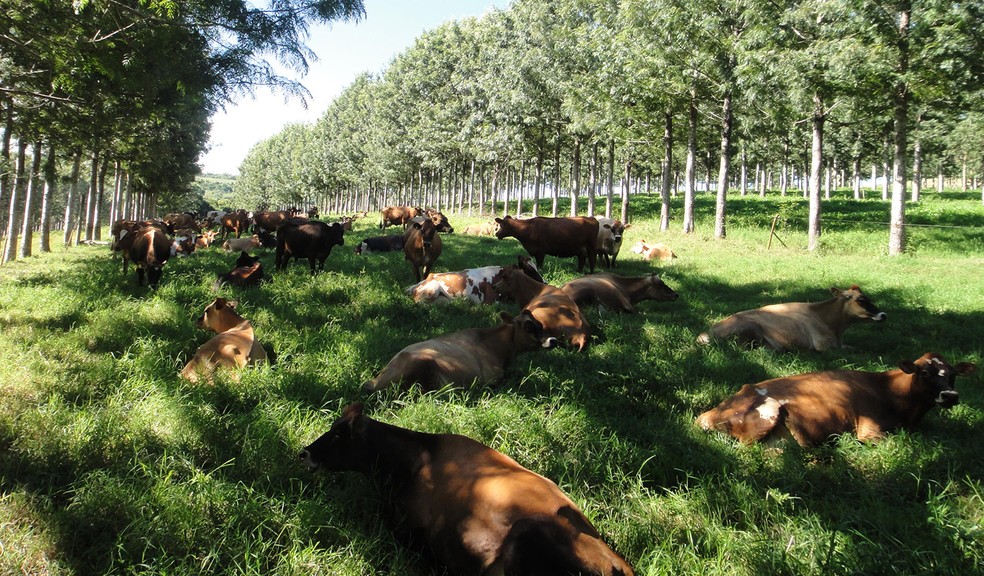 Monitoramento Constante: A Chave para Ajustes e Melhorias - inspiração 1