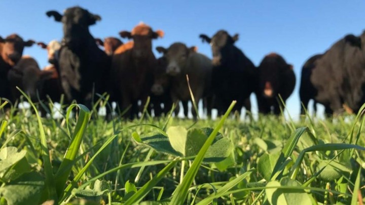 Monitoramento Constante: A Chave para Ajustes e Melhorias - inspiração 2