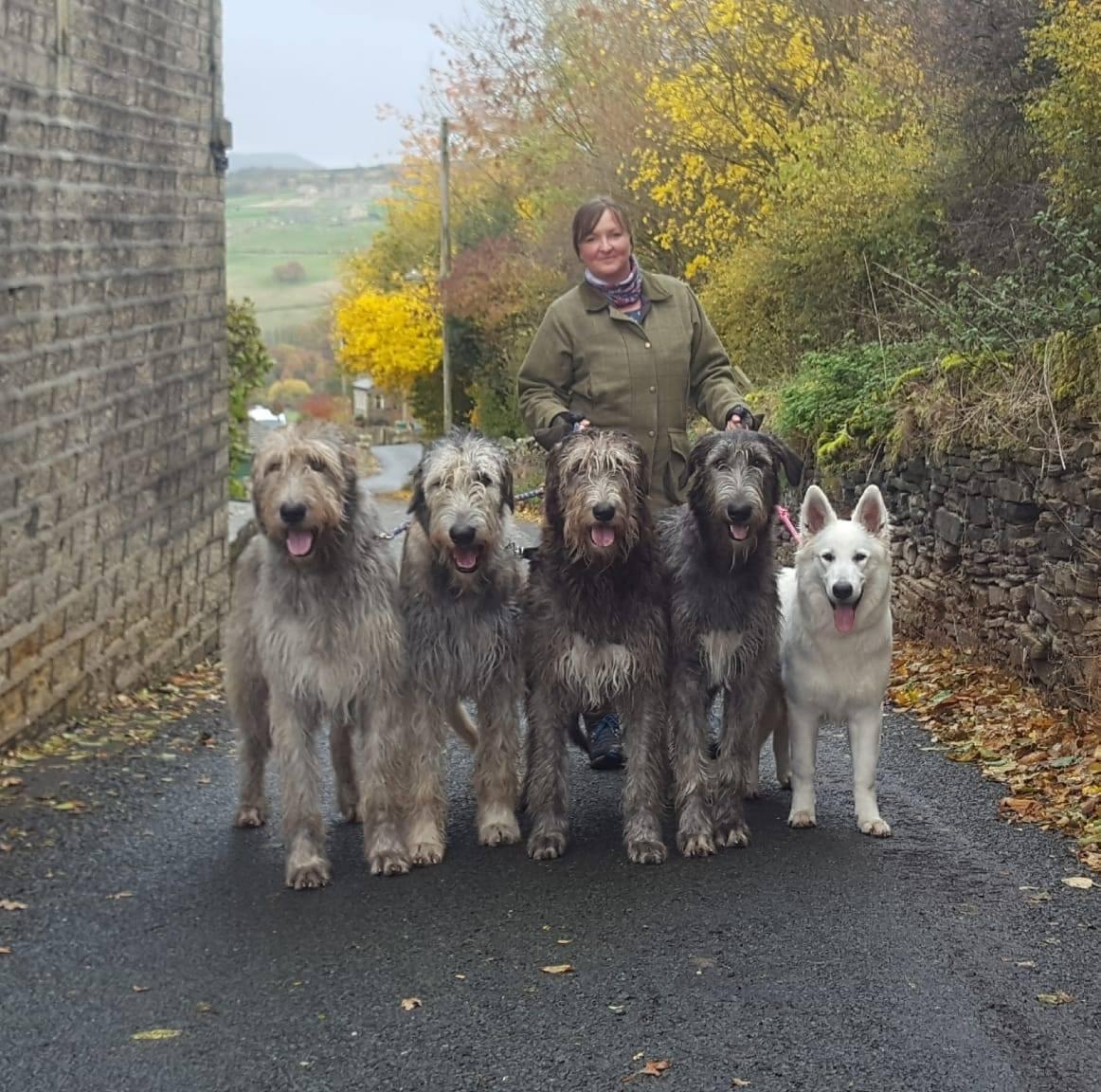 Grooming: Mantendo a Pelagem do Gigante em Ordem - inspiração 1