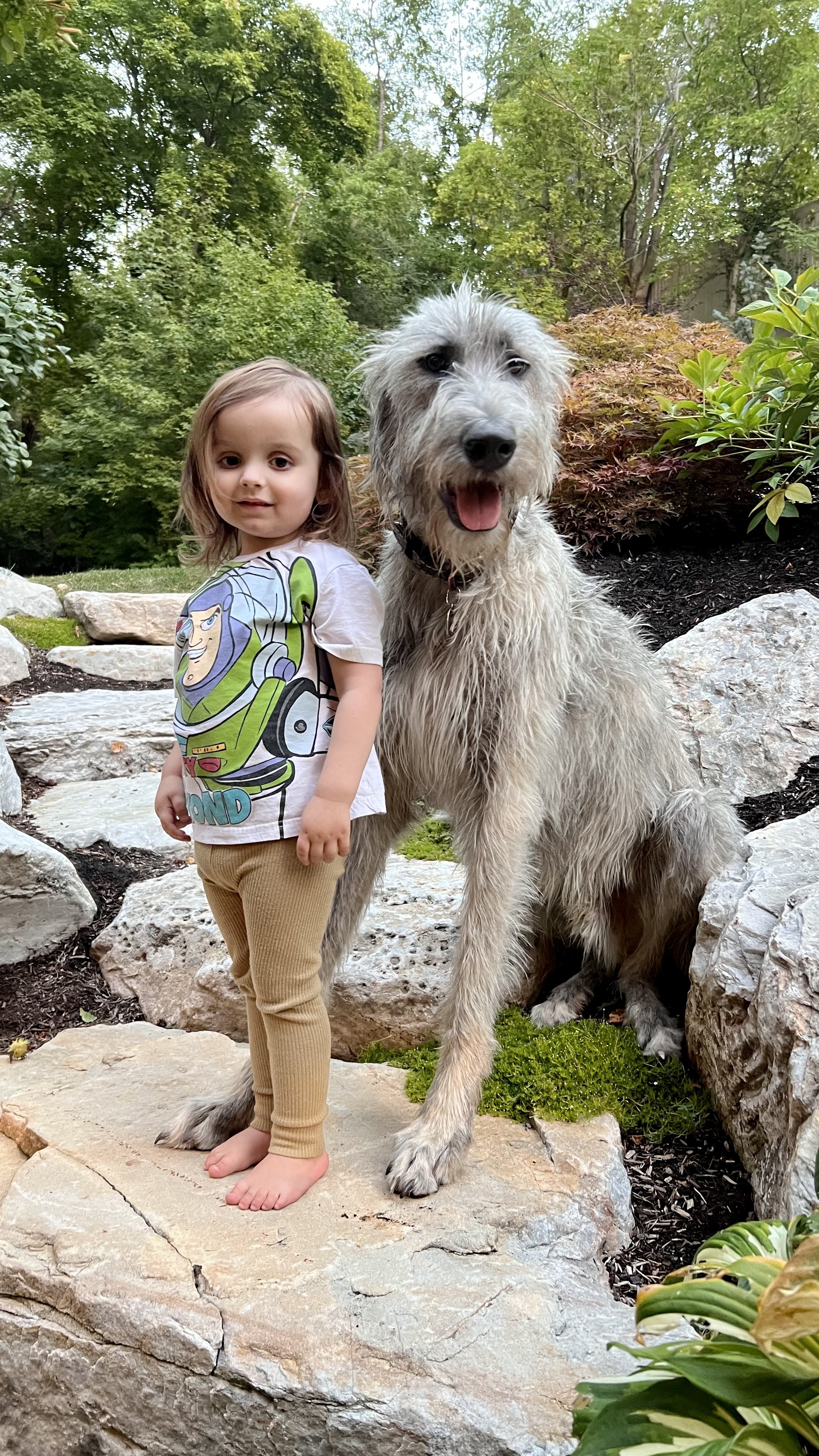 Grooming: Mantendo a Pelagem do Gigante em Ordem - inspiração 2