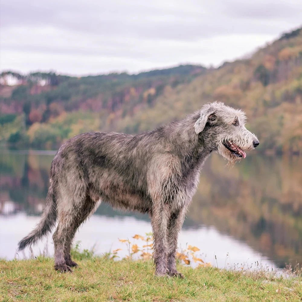 Viagens e Passeios: Acessórios e Cuidados Essenciais - inspiração 2