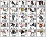 Histórias de Sucesso e Fracasso Ligadas ao Cachorro - inspiração 1