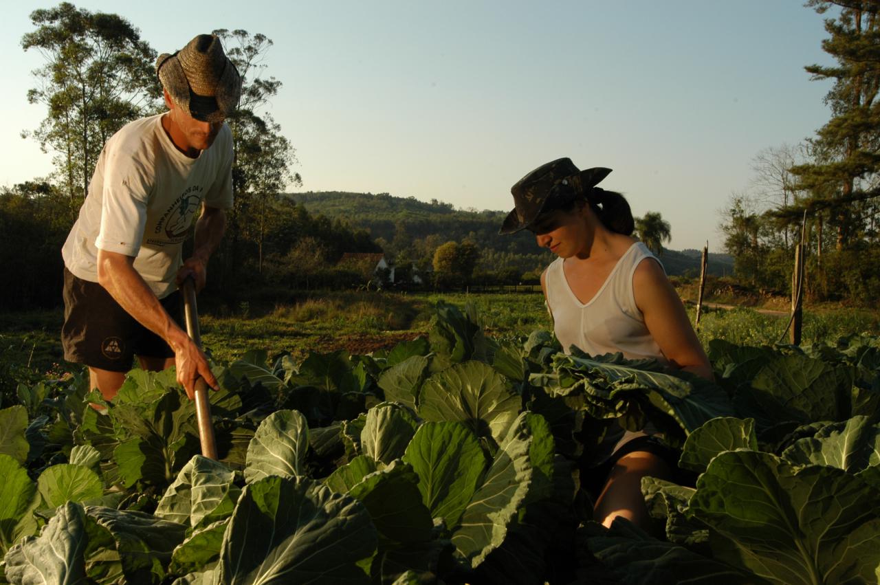 Sustentabilidade na Prática: Cultivando o Amanhã Hoje - inspiração 2