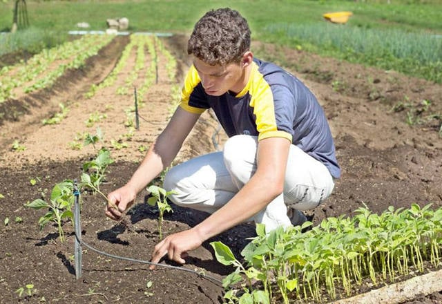 Associativismo e Cooperativismo: A Força do União no Agro - inspiração 1