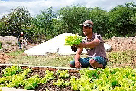 Associativismo e Cooperativismo: A Força do União no Agro - inspiração 2