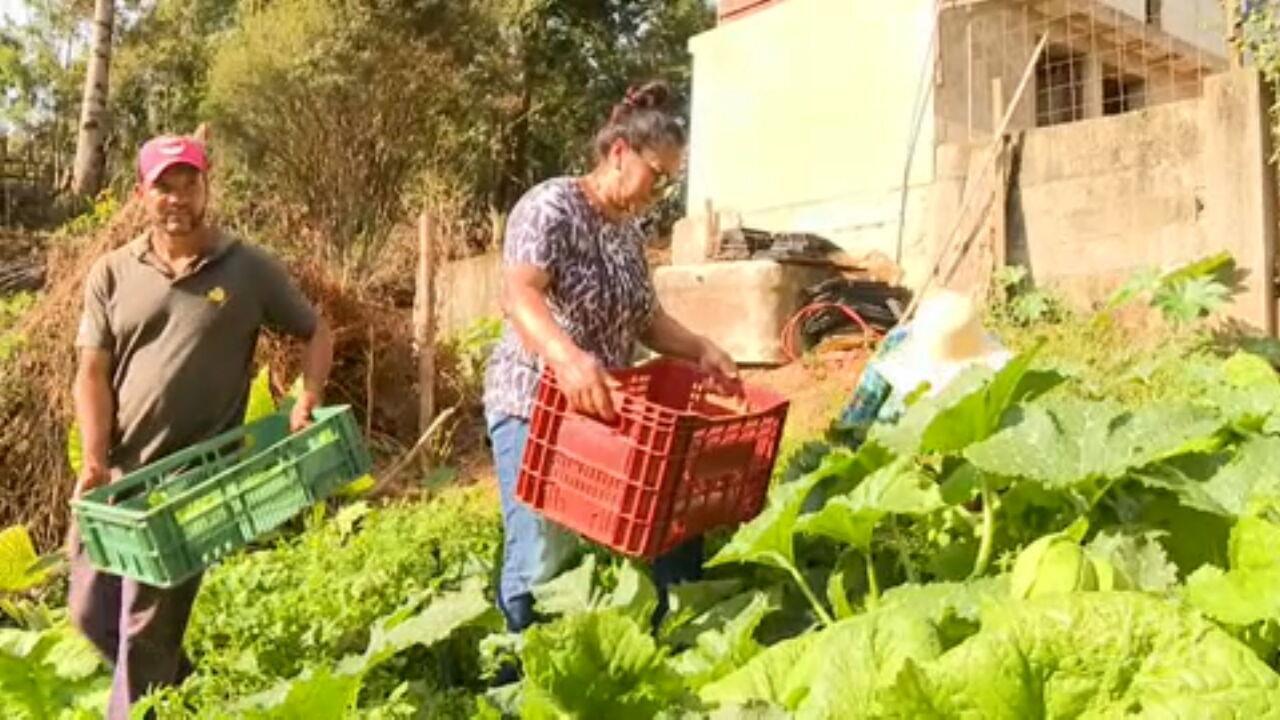 Gestão Financeira Simplificada: Mantendo as Contas em Dia - inspiração 1