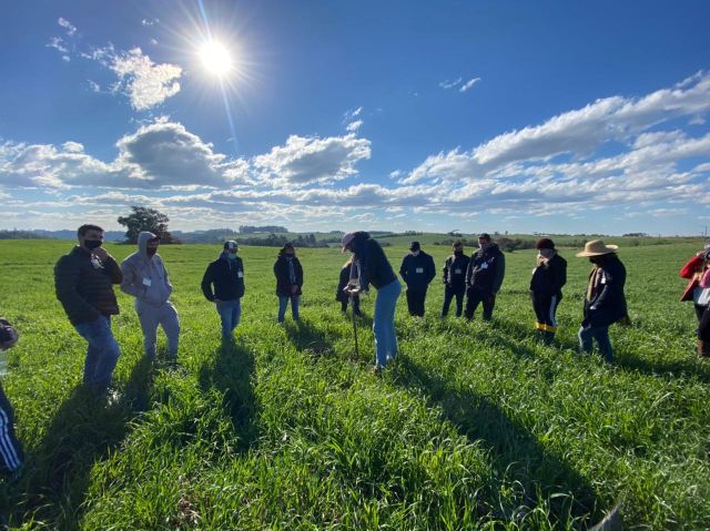 Novas Culturas e Alternativas: Expandindo Horizontes Produtivos - inspiração 2