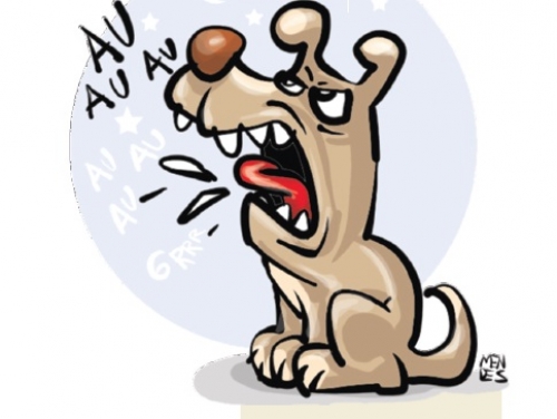 Latido de Dor ou Desconforto: Sinal de Alerta Físico - inspiração 1