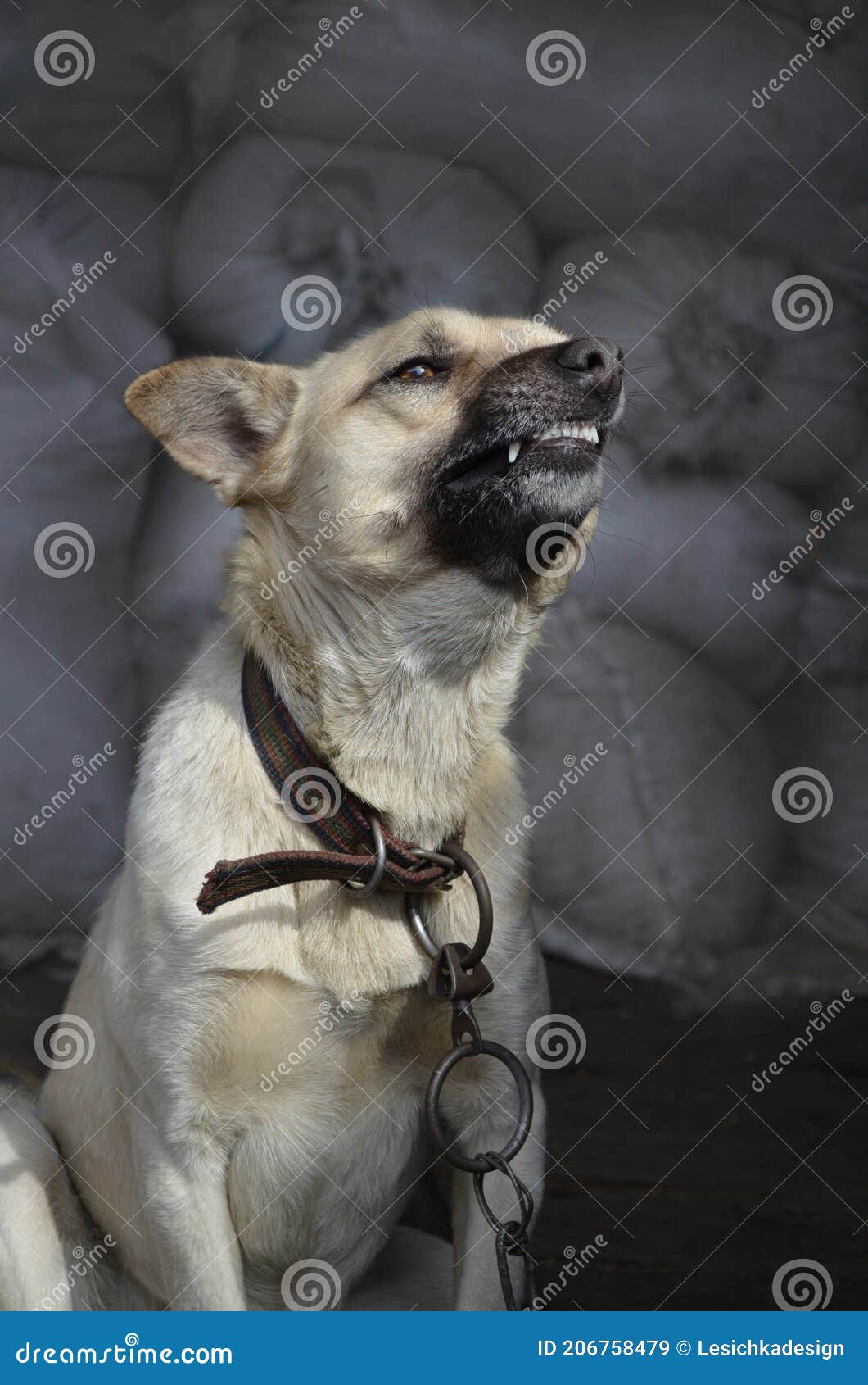 Latido de Dor ou Desconforto: Sinal de Alerta Físico - inspiração 2