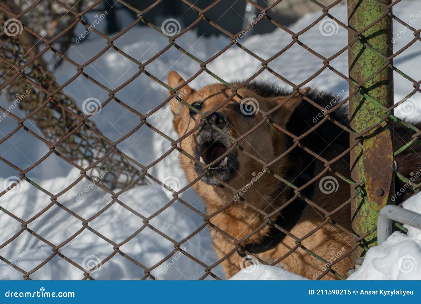Latido Territorial: Marcando o Seu Espaço - inspiração 2