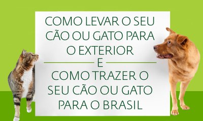 Maus-tratos a Animais: Consequências Legais e Como Agir - inspiração 2