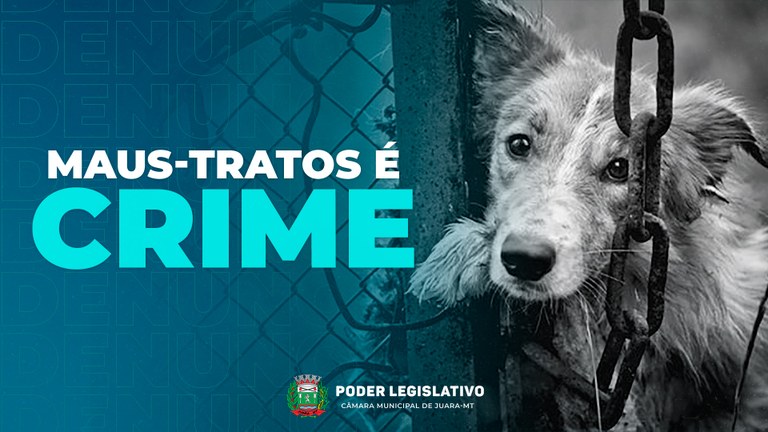 Cães de Guarda e de Raças Específicas: Responsabilidades Adicionais - inspiração 2