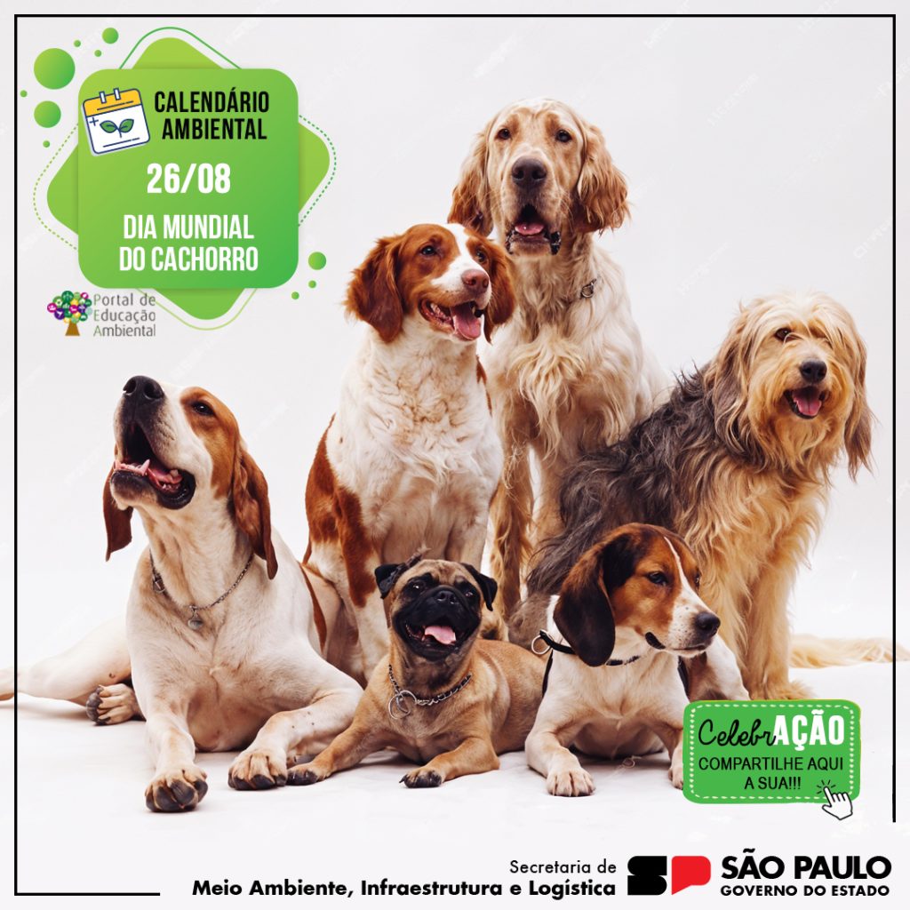 Animais de Serviço: Os Cães-guia e Seu Acesso Livre - inspiração 2