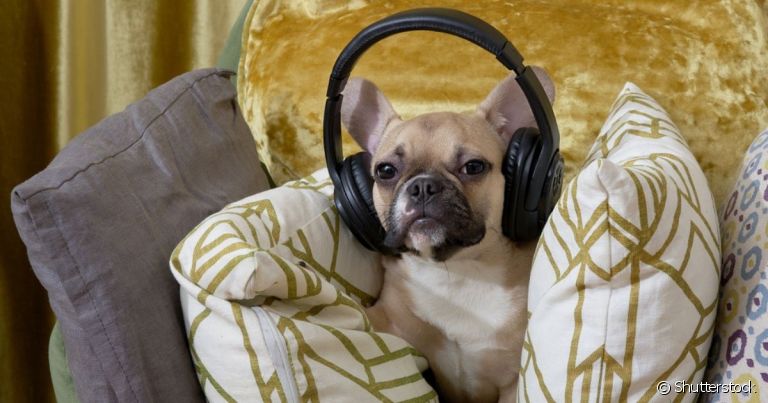 Seu Guia Rápido: Onde Encontrar as Melhores Playlists