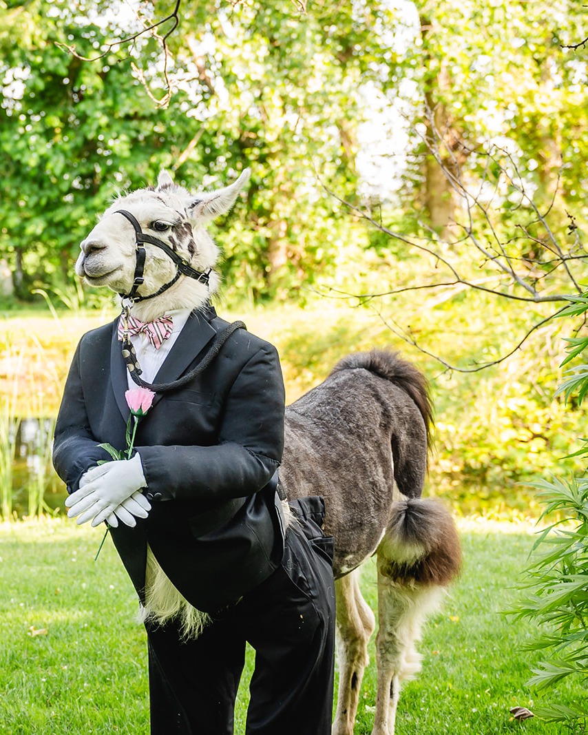 Como o Apadrinhamento Funciona na Prática? Seu Papel e o Impacto Real