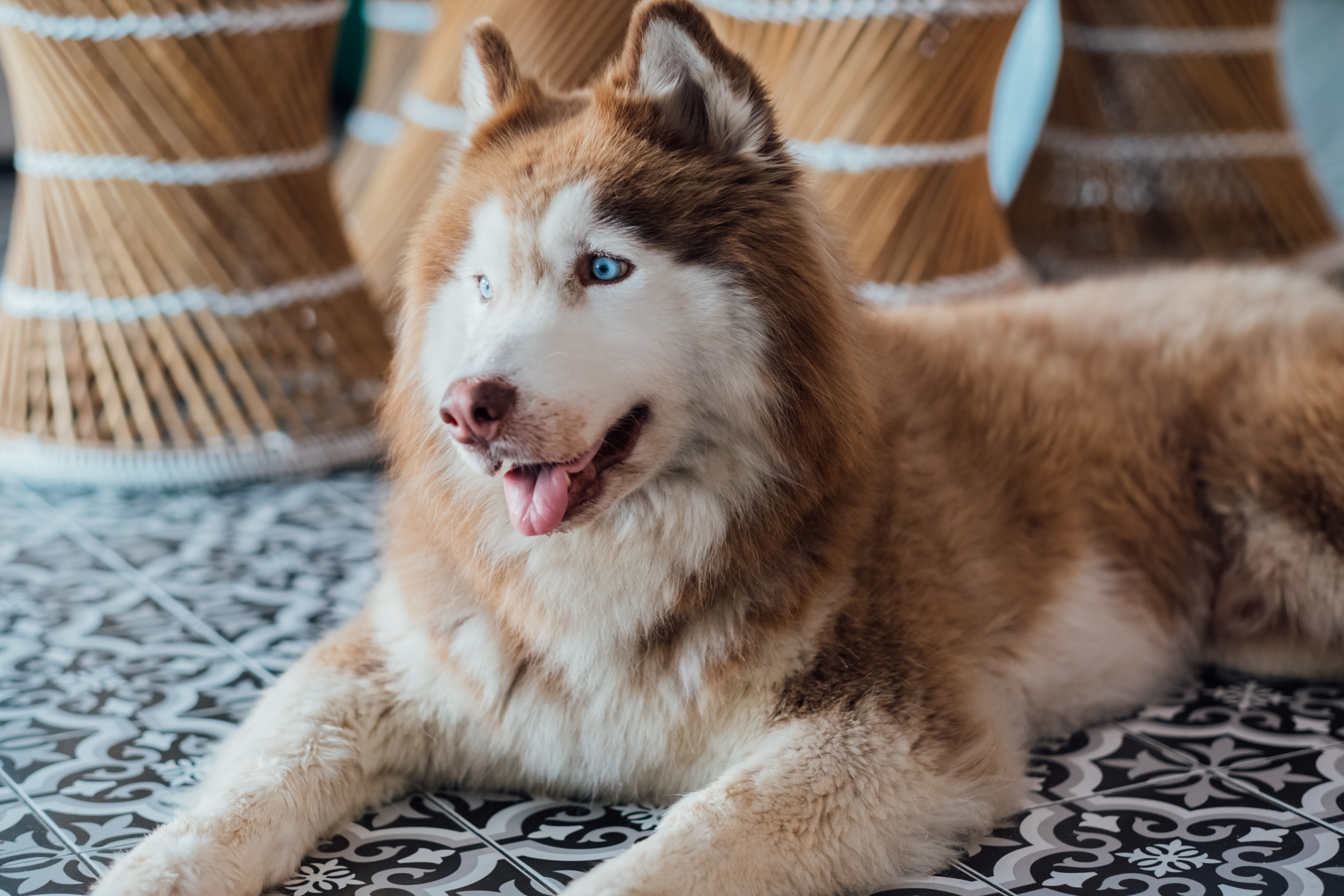 Exercícios Diários: Mantendo a Energia Sob Controle - inspiração 1