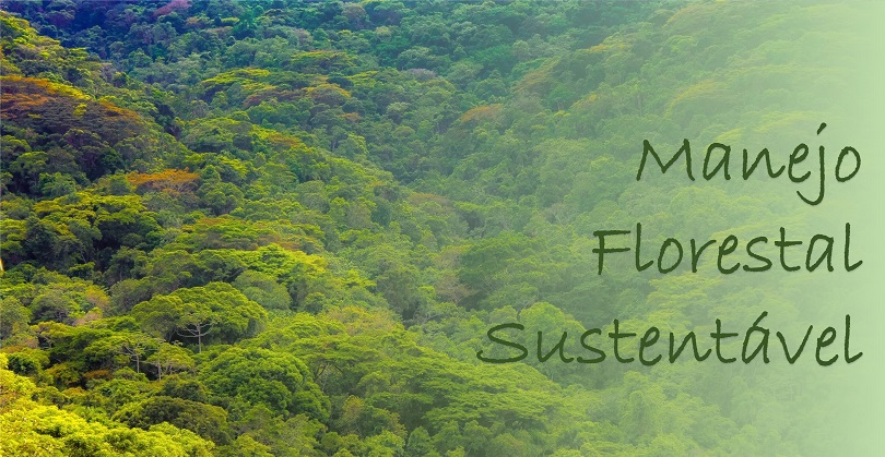 Inventário florestal: o primeiro passo para um bom manejo - inspiração 1