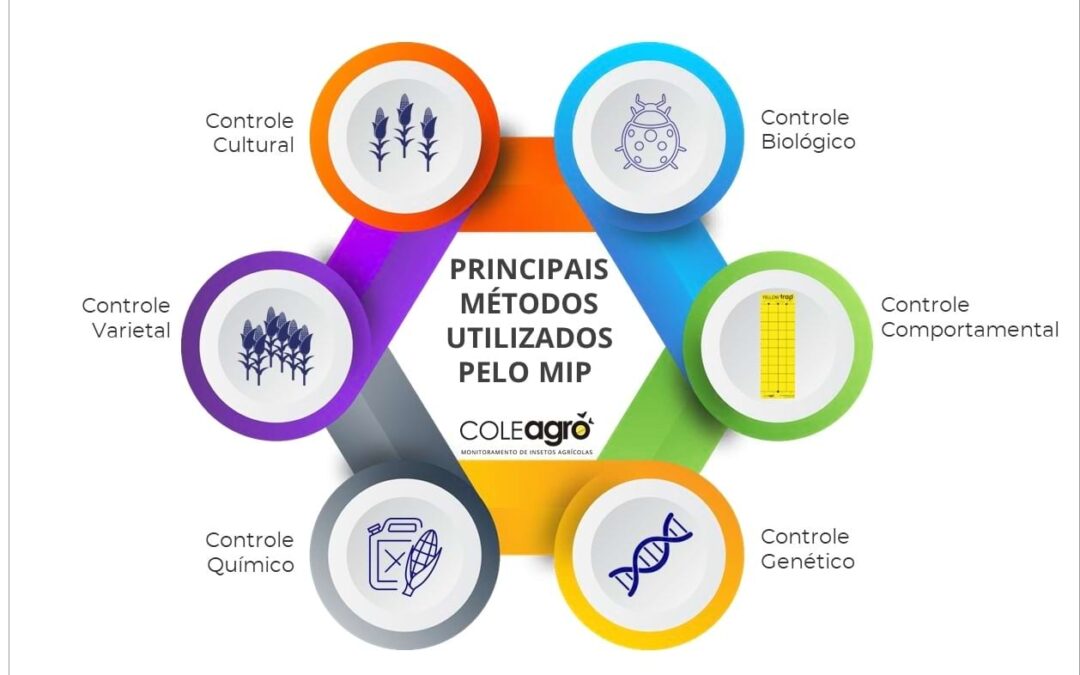 O Que é Exatamente o Manejo Integrado de Pragas? - inspiração 1