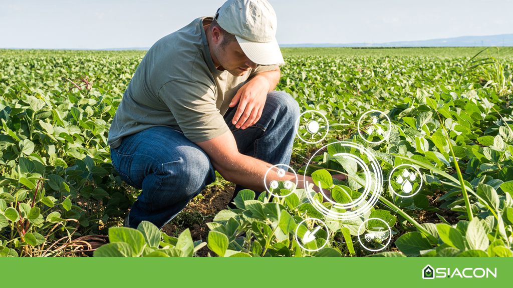 Uso Consciente de Produtos Químicos: A Última Opção no MIP - inspiração 1