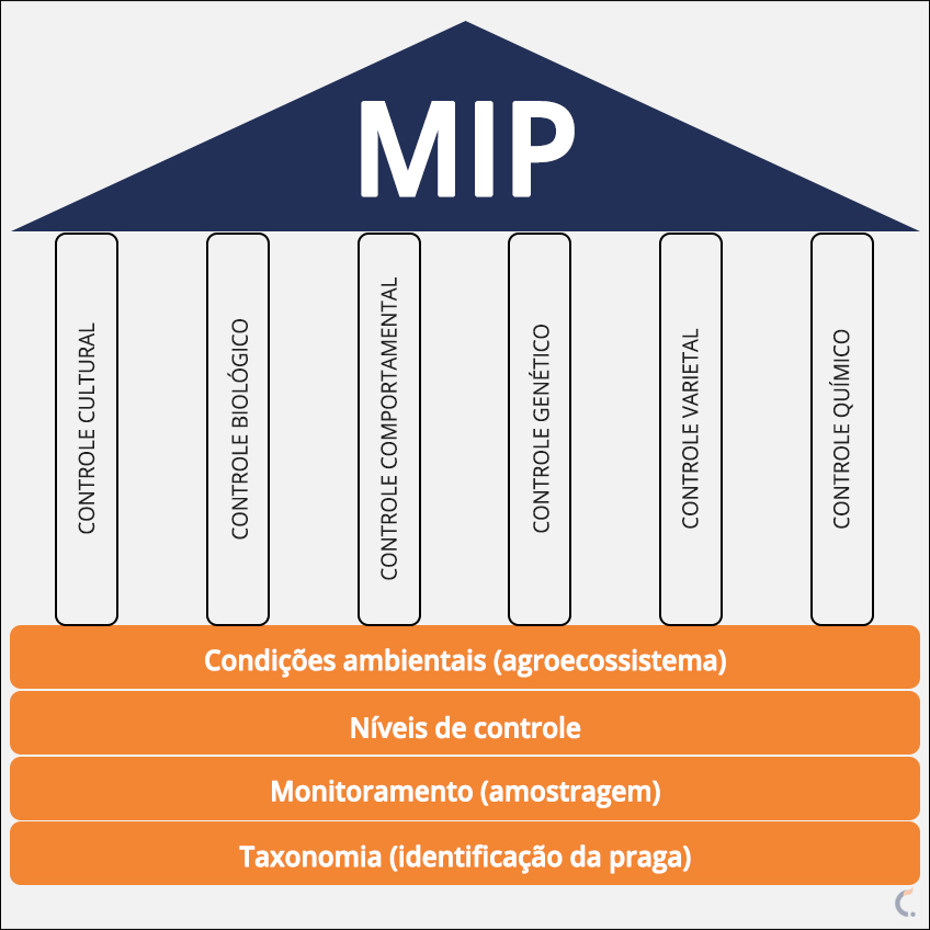 Por Que o MIP é Superior aos Métodos Tradicionais? - inspiração 2