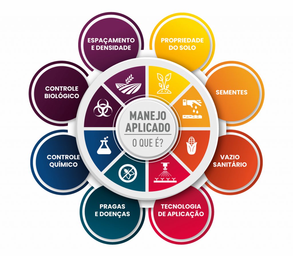Identificação Precisa: O Primeiro Passo Crucial - inspiração 2