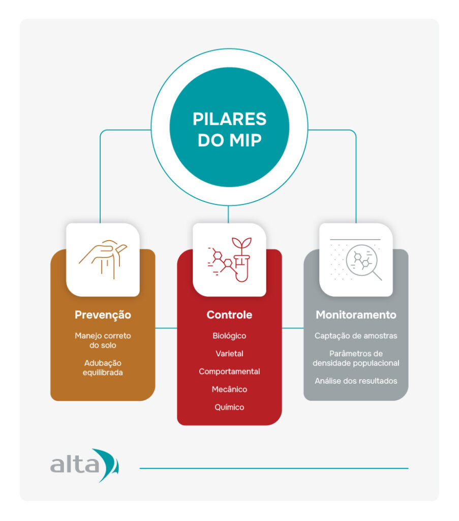Monitoramento Contínuo: A Chave para Antecipar Problemas - inspiração 1