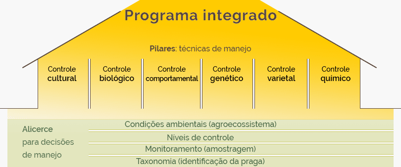 Definindo Limites de Ação: Quando Intervir é Necessário - inspiração 2