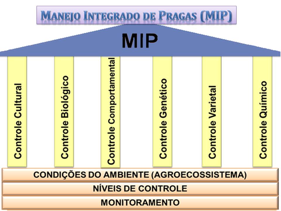 Controle Biológico: Aliados Naturais Contra as Pragas - inspiração 2