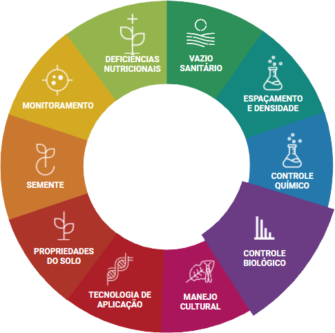 Controle Cultural e Comportamental: Mudanças que Fazem a Diferença - inspiração 1