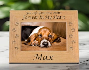 Seu Cachorro Lembra de Você Depois de Anos?