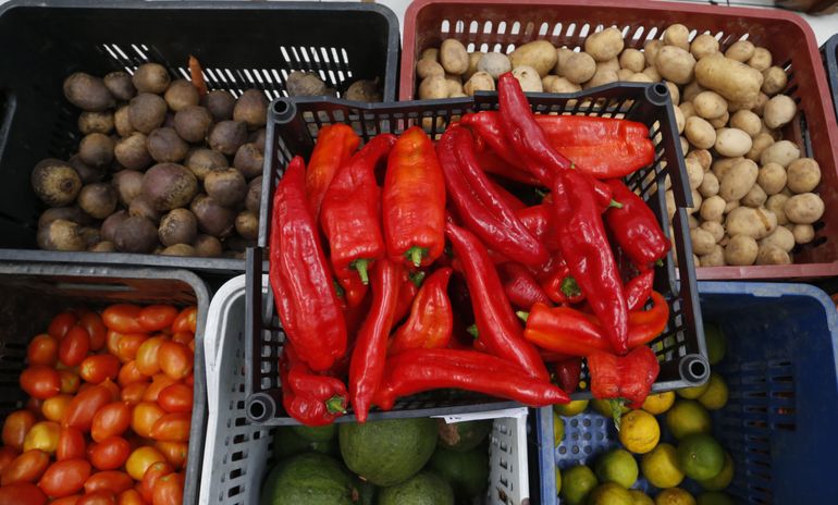 Monte Sua Própria Horta Orgânica: Um Guia Rápido Para Começar em Casa - inspiração 1