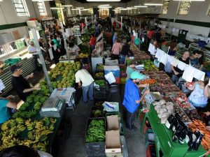 Monte Sua Própria Horta Orgânica: Um Guia Rápido Para Começar em Casa - inspiração 2