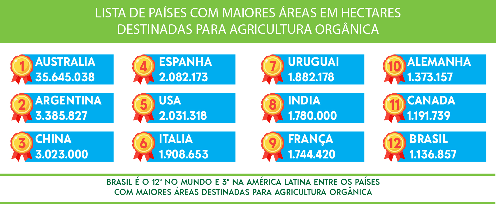 De Pequenos Produtores a Grandes Redes: Onde Encontrar Orgânicos no Brasil - inspiração 1