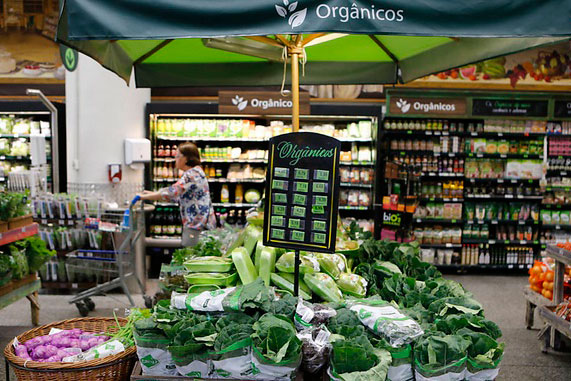 O Preço dos Orgânicos: Estratégias Para Tornar Essa Escolha Mais Acessível no Seu Orçamento - inspiração 2