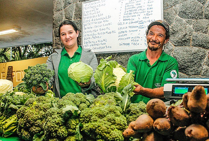 Desafios e Oportunidades: O Futuro do Mercado Orgânico no Nosso País - inspiração 1