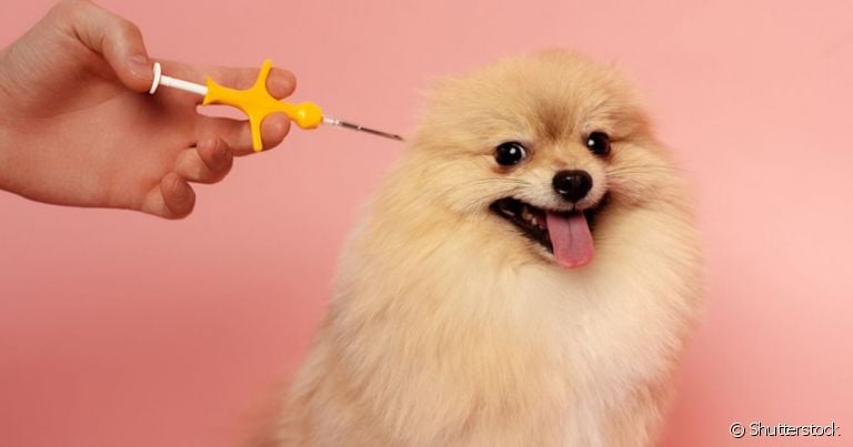 Responsabilidade do Tutor: Mantendo os Dados Atualizados - inspiração 2