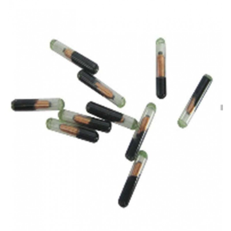 O Microchip é um GPS? Entenda a Diferença - inspiração 1