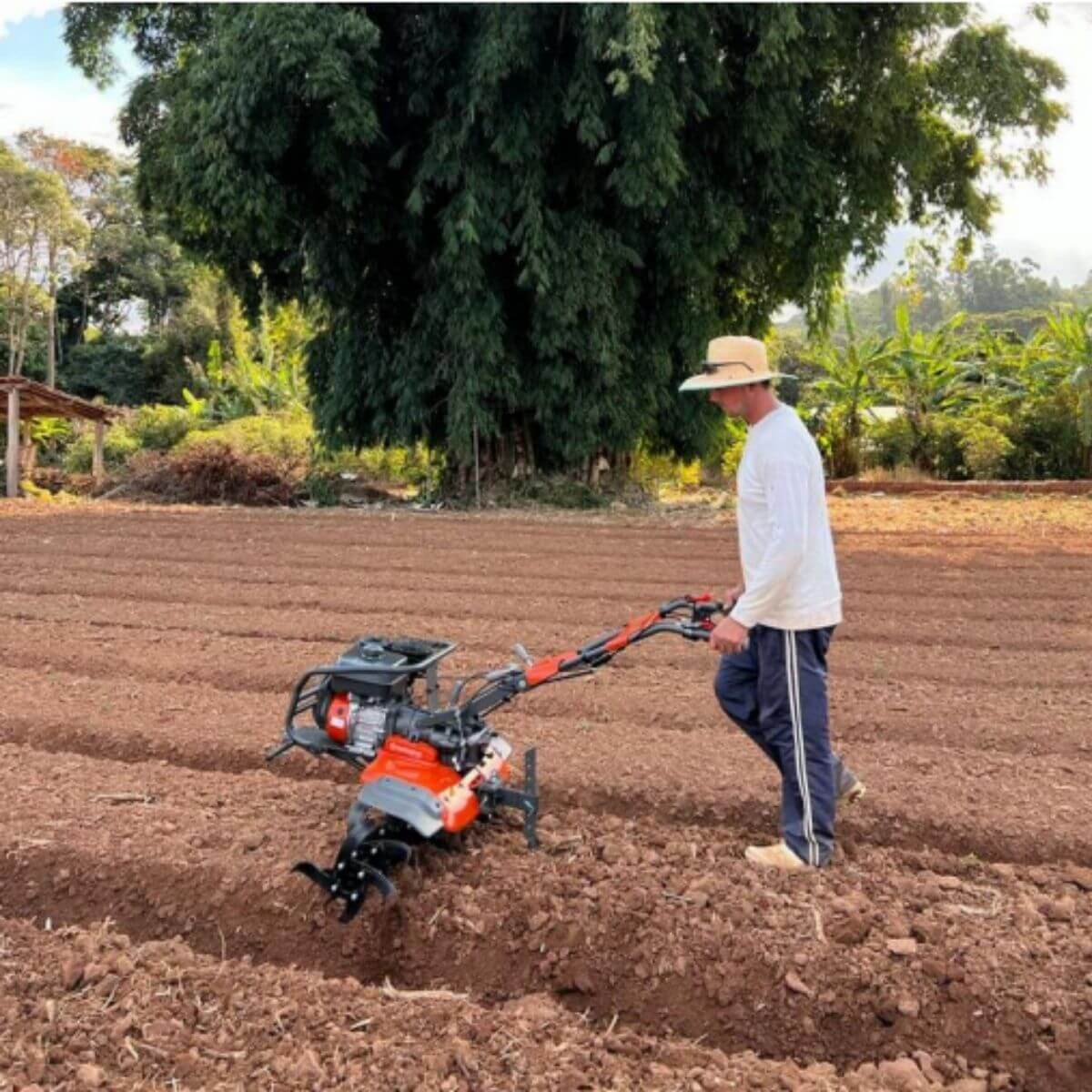 Níveis de Ruído e Vibração: O Que Esperar - inspiração 1