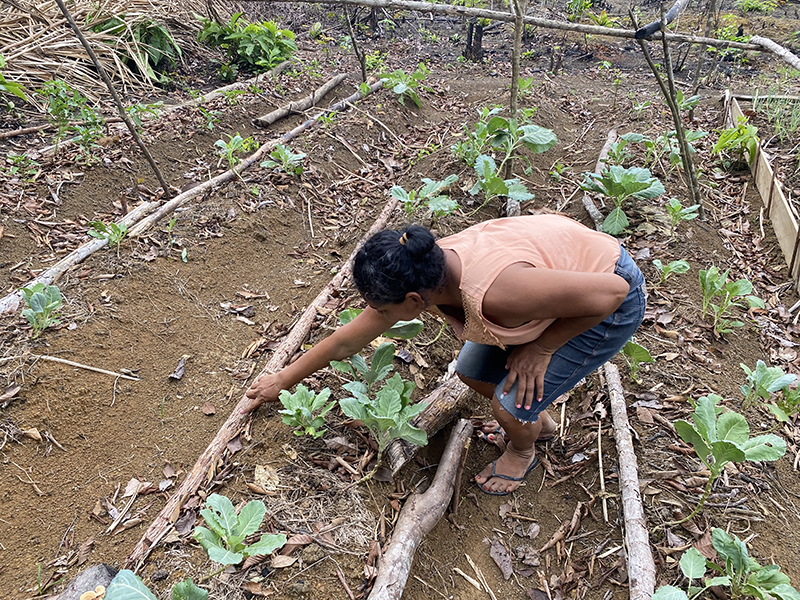Impacto Além do Quintal: O Que Ganhamos Com as Mulheres Rurais