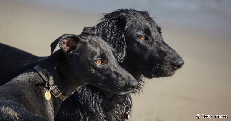 O Poder das Palavras Fortes e Marcantes - inspiração 1